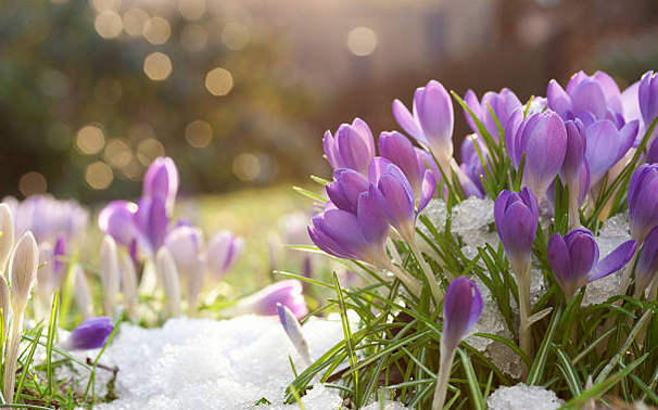 images hiver 2026 pilates gym posturale et stretching